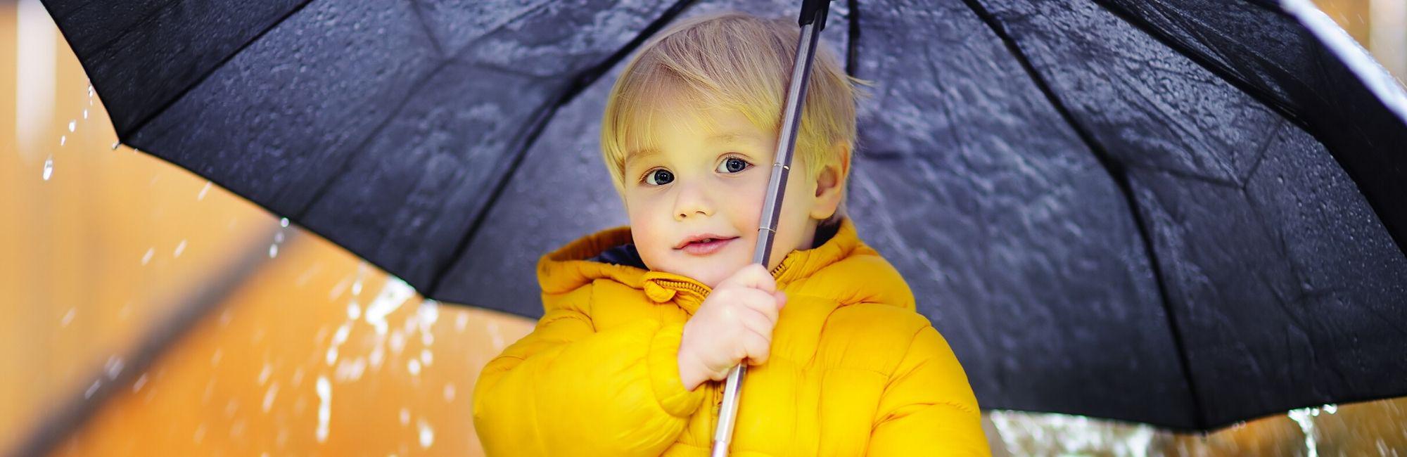 Shared Secure Loans at Valex Federal Credit Union